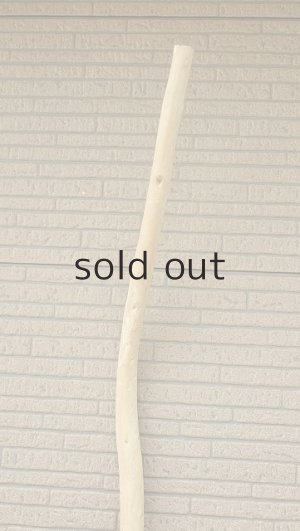 画像4: 棒流木・長尺