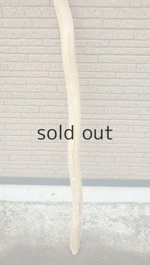 画像2: 棒流木・長尺