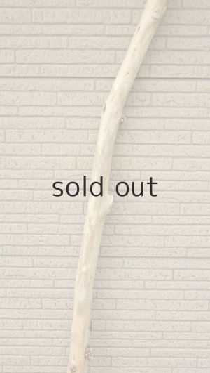 画像3: 棒流木・長尺