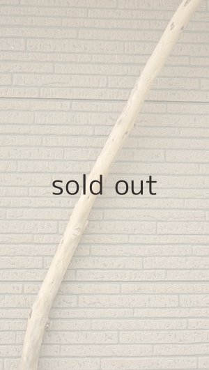 画像4: 棒流木・長尺