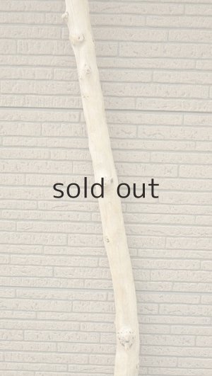 画像3: 棒流木・長尺