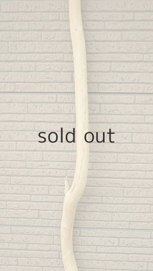 画像3: 棒流木・長尺