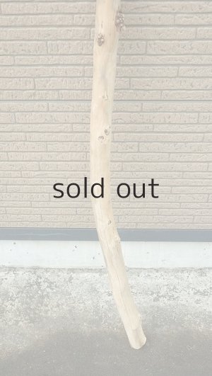 画像2: 棒流木・長尺