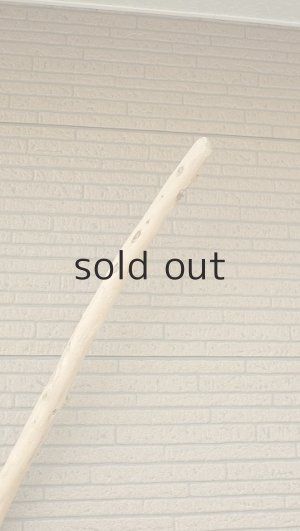 画像5: 棒流木・長尺