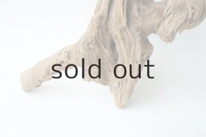 画像5: 変形流木