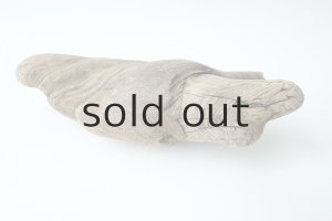 画像4: 変形流木