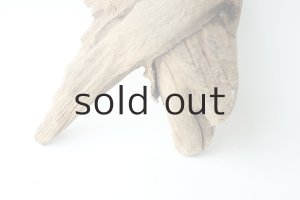 画像2: 変形流木