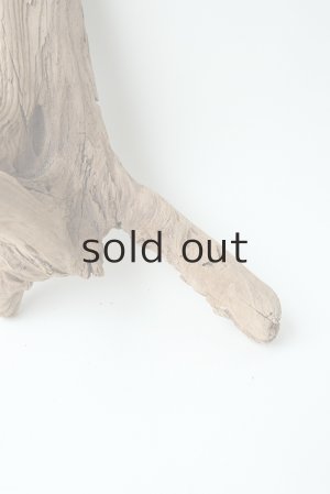 画像2: 変形流木