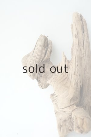 画像3: 変形流木