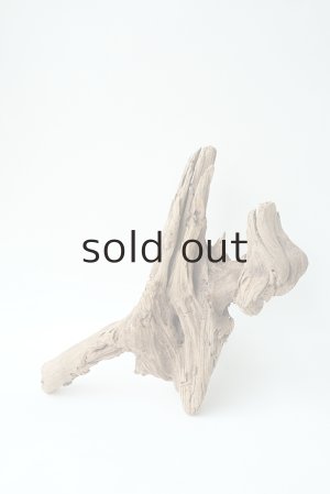 画像4: 変形流木