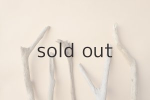 画像6: 小枝流木セット