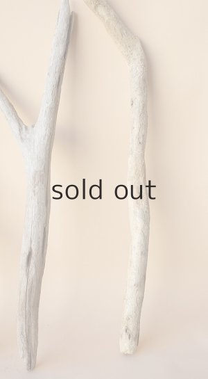 画像4: 小枝流木セット