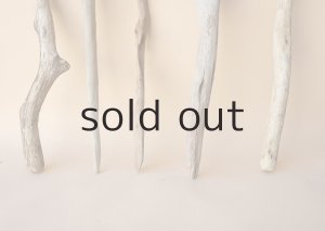 画像5: 小枝流木セット