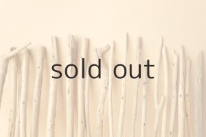 画像6: 小枝流木セット