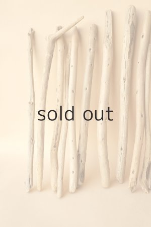 画像2: 小枝流木セット