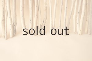 画像5: 小枝流木セット