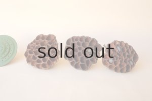 画像1: Dry plants for decor デコール用乾燥花托（蓮）セット＊outlet＊