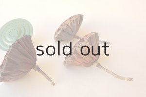 画像2: Dry plants for decor デコール用乾燥花托（蓮）セット＊outlet＊