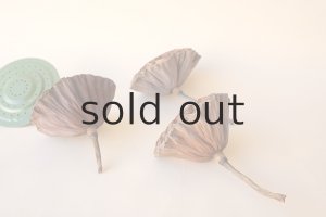 画像3: Dry plants for decor デコール用乾燥花托（蓮）セット＊outlet＊
