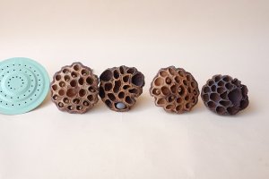 画像1: Dry plants for decor デコール用乾燥花托（蓮）セット