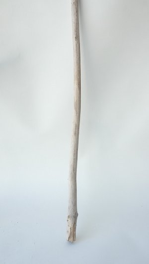 画像5: 枝流木セット（outlet）