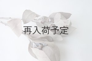 3年ほど経ったテトラゴナです。満遍なくシルバーグレイになり美しいです。エアコンや直射日光の当たる場所以外なら10年程は飾ることができます。