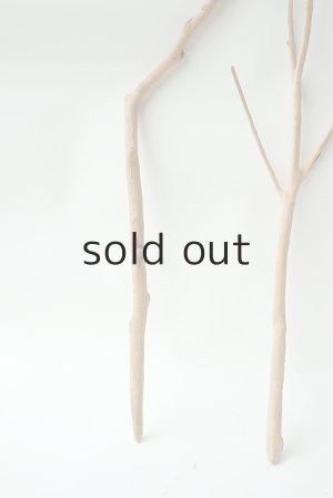 画像5: 小枝流木セット