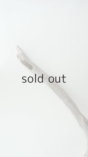 画像4: 変形流木