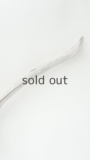 画像5: 変形流木