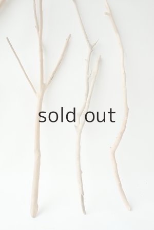 画像6: 小枝流木セット