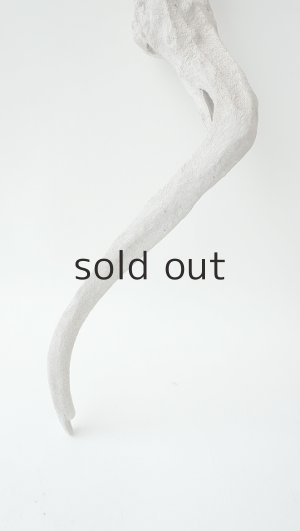 画像2: 変形流木