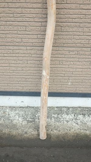 画像2: 棒流木・長尺