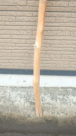 画像2: 棒流木・長尺