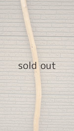 画像3: 棒流木・長尺