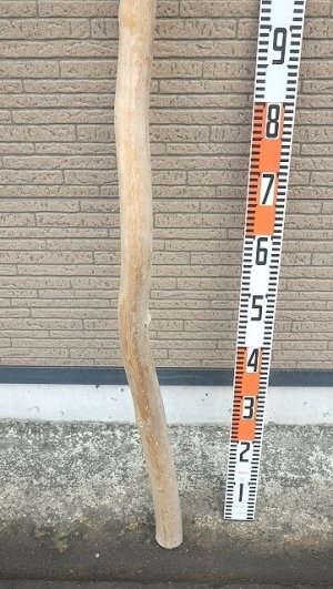 画像5: 棒流木・長尺