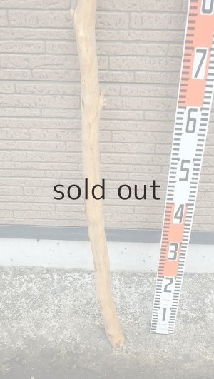 画像5: 棒流木・長尺