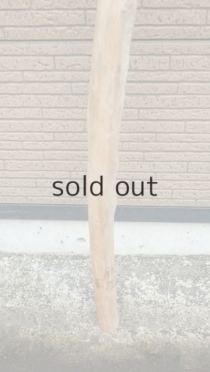 画像2: 棒流木・長尺