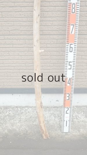 画像5: 棒流木・長尺