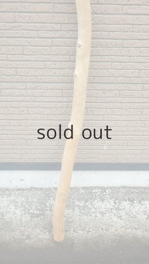 画像2: 棒流木・長尺