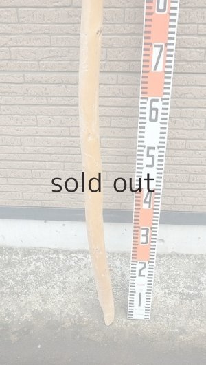 画像5: 棒流木・長尺