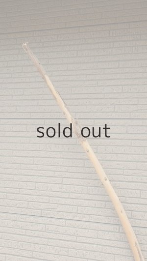 画像4: 棒流木・長尺