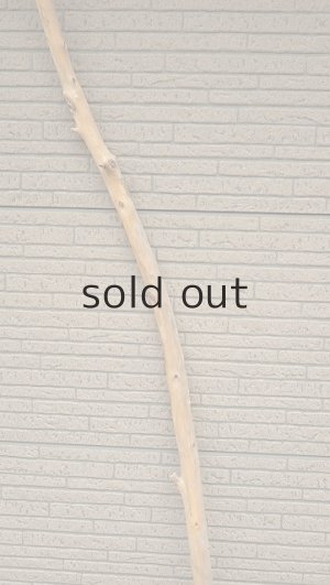 画像3: 棒流木・長尺