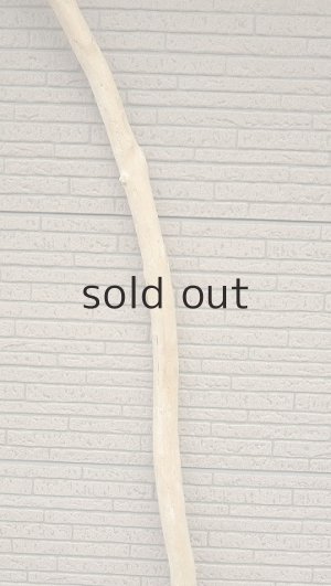 画像3: 棒流木・長尺