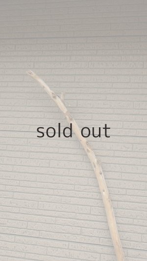 画像4: 棒流木・長尺