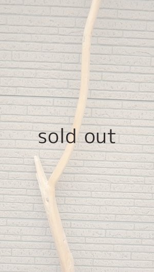 画像3: 棒流木・長尺