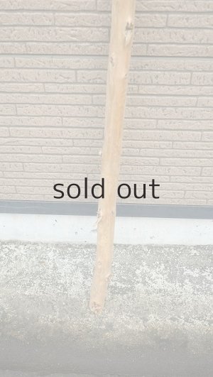 画像2: 棒流木・長尺