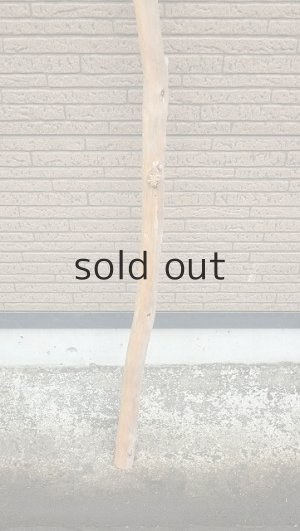 画像2: 棒流木・長尺