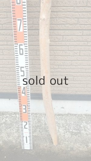 画像5: 棒流木・長尺