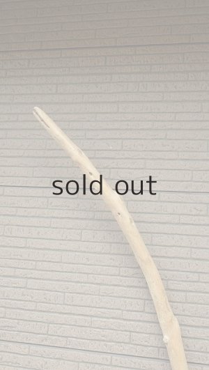 画像4: 棒流木・長尺