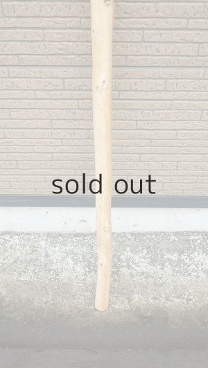 画像2: 棒流木・長尺